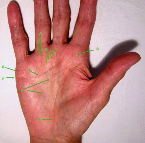 palmistry, hand reading, life line, fate line, relationship lines
